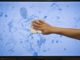 How to Clean a Plasma TV Screen Safely and Effectively
