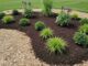 PADOT 4802-0001 Rain Garden Topsoil for Sustainable Landscaping